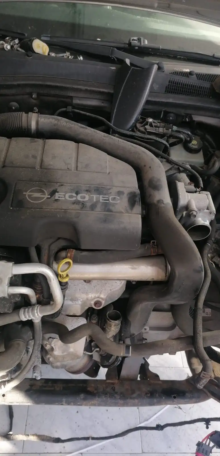 Montaje de motor mecánico profesional Alcudia