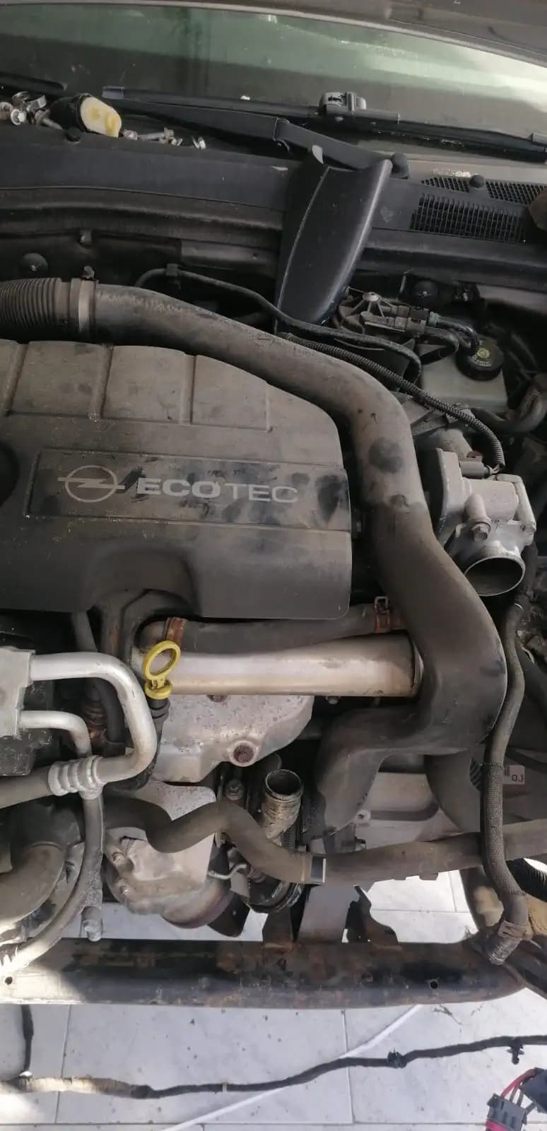 Engine Assembly